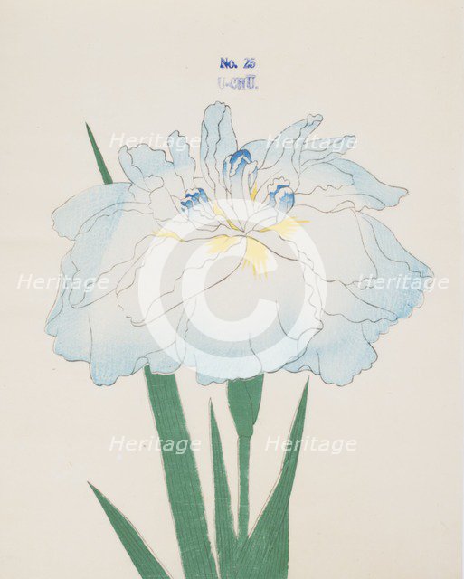 U-Chu, No. 25, 1890, (colour woodblock print)