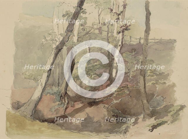 Trees bordered by a fence on the Hoog Oorsprong estate, 1864-c.1865. Creator: Maria Vos.