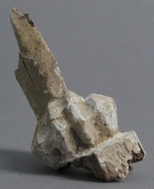Claw Fragment, Coptic, 4th-7th century. Creator: Unknown.