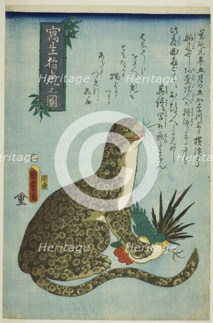 Picture of a Ferocious Tiger Drawn from Life (Shasei moko no zu), 1860. Creator: Utagawa Kunimaro.