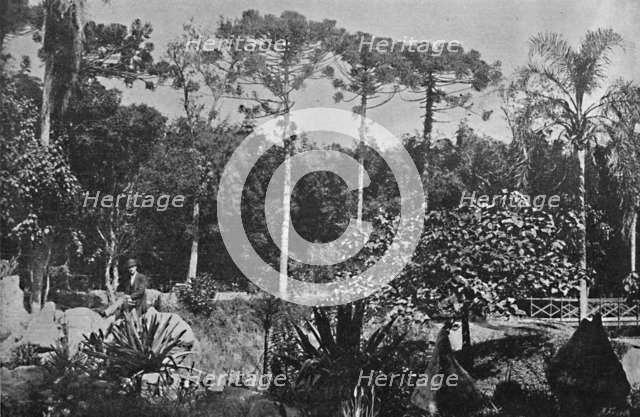 'Jardim Publico', 1895. Artists: Wilhelm Gaensly, Rudolf Friedrich Fra.