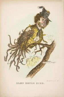 Alms House Bird, from The Comic Natural History of the Human Race, 1851. Creators: Henry Louis Stephens, L. Rosenthal.