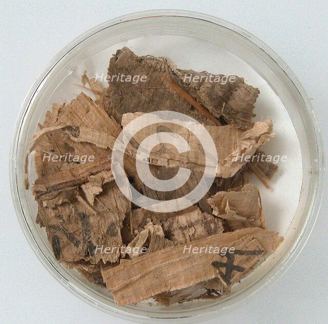 Papyri Fragments, Coptic, 7th century. Creator: Unknown.