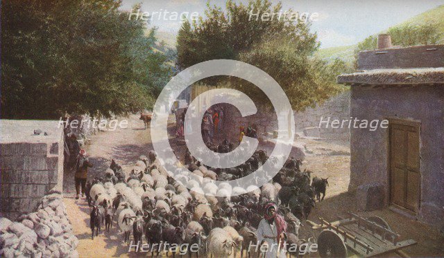 Palestine', c1930s. Artist: Ewing Galloway.