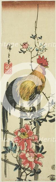 Rooster perched on rose trellis, 1854. Creator: Ando Hiroshige.