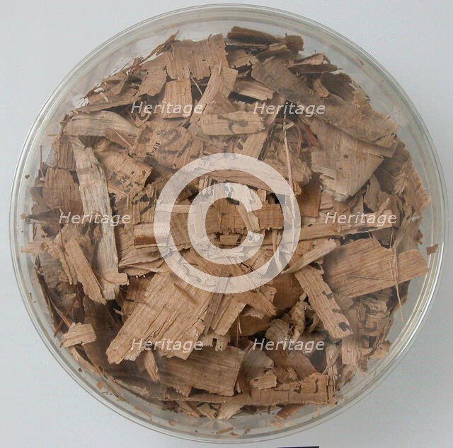 Papyri Fragments, Coptic, 7th century. Creator: Unknown.