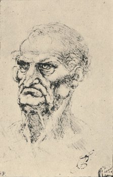 'Head of an Old Man Three-Quarters to the Left', c1480 (1945). Artist: Leonardo da Vinci.