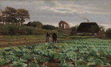 Cabbage patch, 1870-1917. Creator: Hans Smidth.