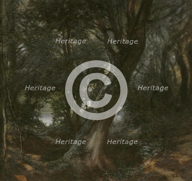 In the Forest. Creator: Egron Sellif Lundgren.