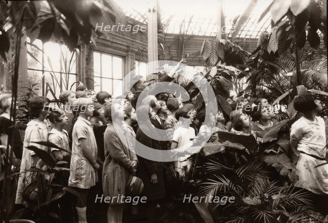 A group of girls are shown the features of a conservatory, York,  Yorkshire,  1929. Artist: Unknown