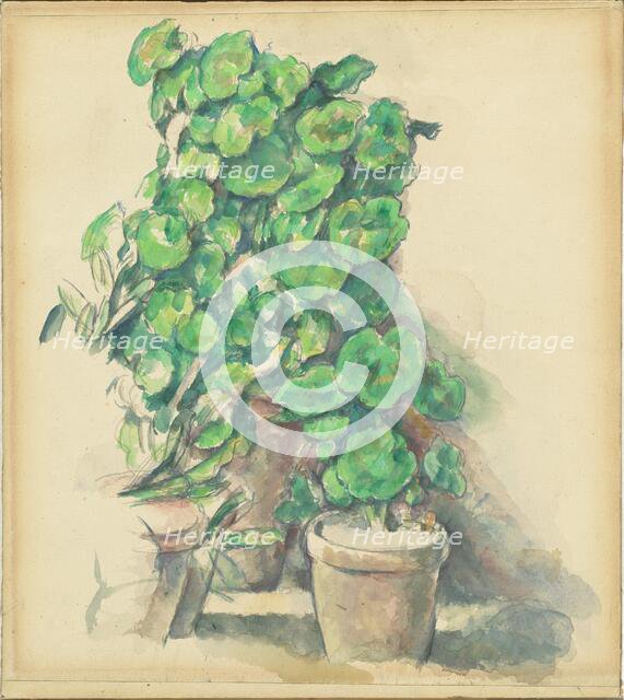 Geraniums, 1888/1890. Creator: Paul Cezanne.