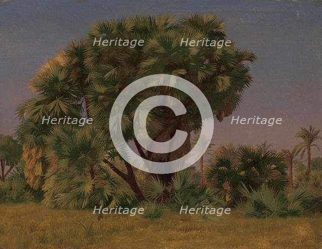 Study of Palm Trees, probably 1868. Creator: Jean-Leon Gerome.