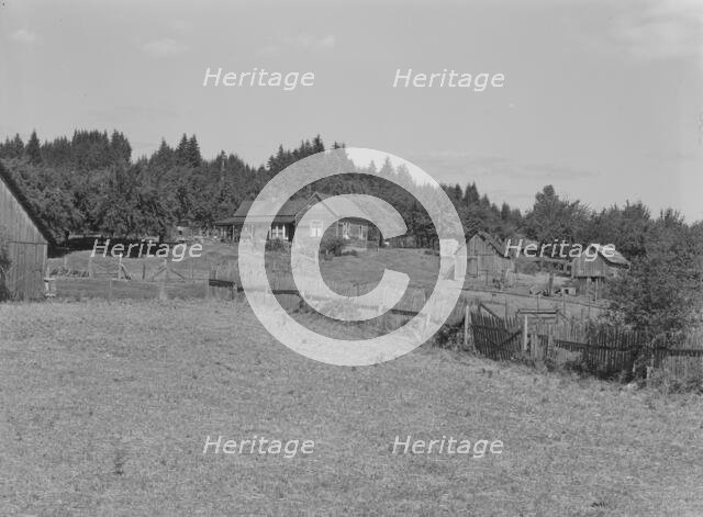 Western Washington subsistence farm, whittled out of the..., Grays Harbor County, Washington, 1939. Creator: Dorothea Lange.