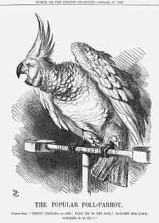 'The Popular Poll-Parrot', 1866. Artist: John Tenniel