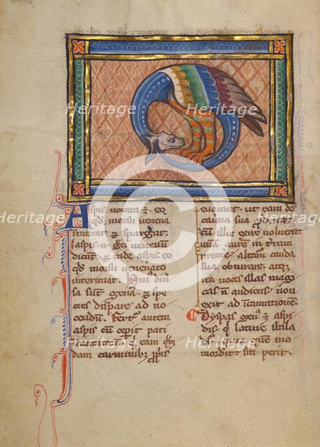 An Asp; Bestiary, about 1270. Creator: Unknown.