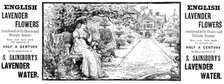 Advertisement for S. Sainsbury’s Lavender Water, 1890. Creator: Unknown.