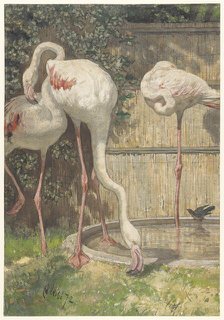 Three Flamingos near a Basin, 1872. Creator: August Allebe.