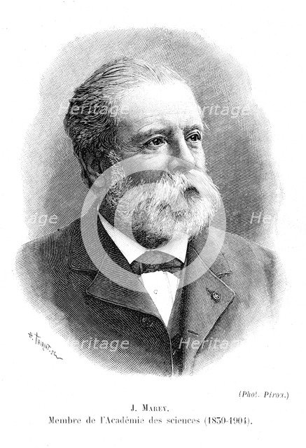 Etienne Jules Marey (1830-1903), pioneer of Cinematography, c1904. Artist: Unknown