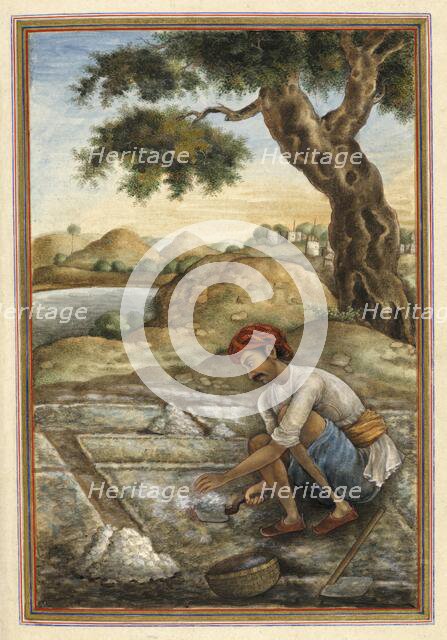 Luniya, a caste of salt-diggers, 1825 . Creator: Anon.