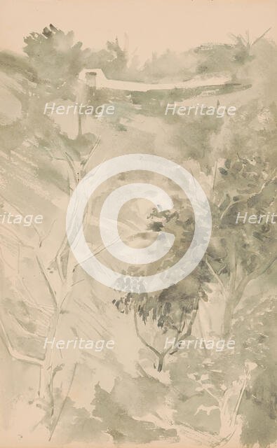 Trees in a valley, 1865-1913. Creator: Abrahamina Arnolda Louisa Hubrecht.