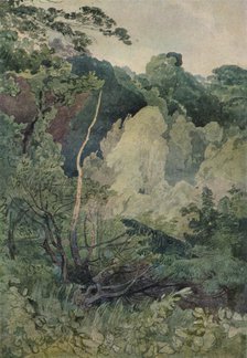 'Trees near the Greta River', c19th century. Artist: John Sell Cotman.