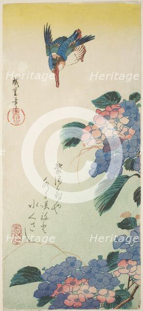 Kingfisher and hydrangea, 1830s. Creator: Ando Hiroshige.