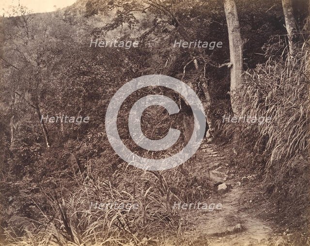 Left Road up to Yuen foo Monastery, ca. 1869. Creator: Afong Lai.
