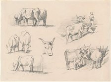 Studies of Cattle, c. 1872. Creator: John Singer Sargent.