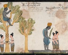 The brahmin, sitting in a tree, keeps the children of Vessantara tied up all night, and in..., 1815. Creator: Unknown.