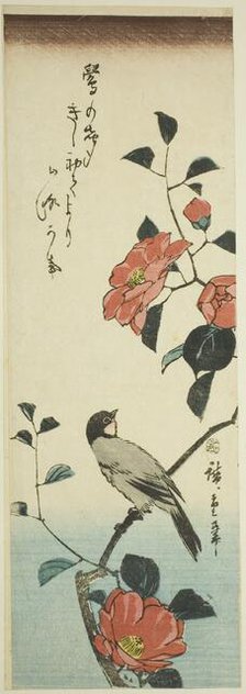 Camellia flowers and bullfinch, c. 1843/47. Creator: Ando Hiroshige.