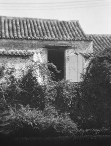 Travel views of Cuba and Guatemala, between 1899 and 1926. Creator: Arnold Genthe.