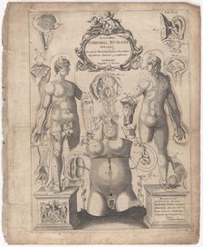 A Survey of the Microcosme or the Anatomie of the Bodies of Man and Woman wherein the Skin..., 1675. Creator: Johann Remmelin.