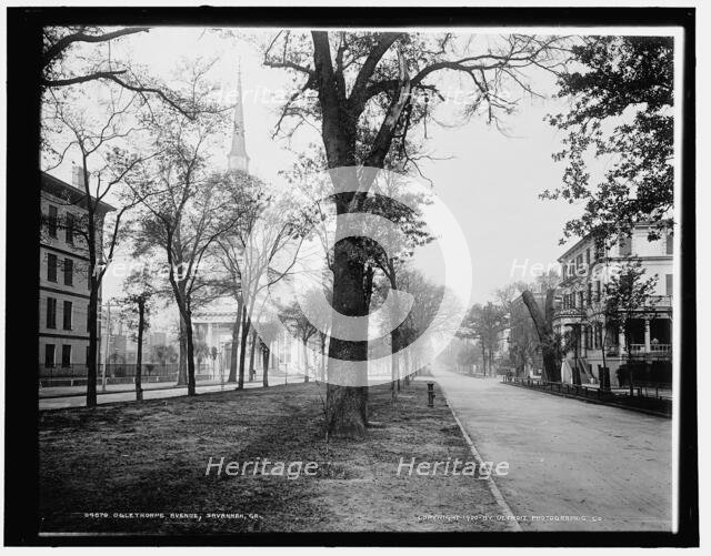 Oglethorpe Avenue, Savannah, Ga., c1900. Creator: Unknown.