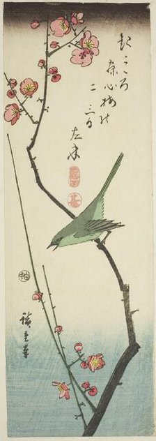 Bush warbler on plum branch, c. 1843/47. Creator: Ando Hiroshige.