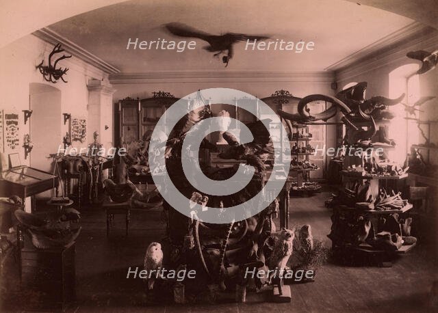 Paleontological and Archaeological Objects Collected from the Tyumen' Area., 1889. Creator: N Terekhov.