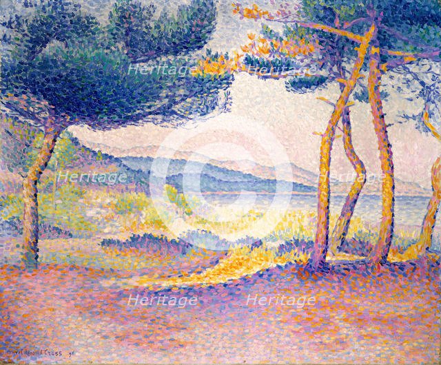 Pines Along the Shore, 1896. Creator: Henri-Edmond Cross.