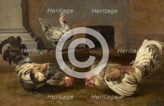 Fighting Cocks, c1600-1650. Creator: Frans Snyders.