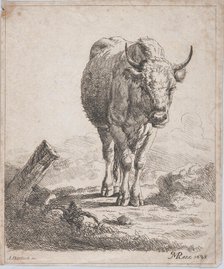 A cow, seen from the front, 1805. Creator: Adam von Bartsch.