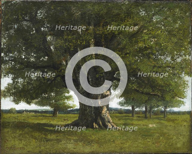 The Oak of Flagey (also known as the Oak of Vercingetorix, Caesar's camp near Alesia), 1864. Creator: Courbet, Gustave (1819-1877).