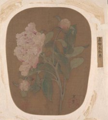 Peony Flower and Leaves. Creator: Unknown.