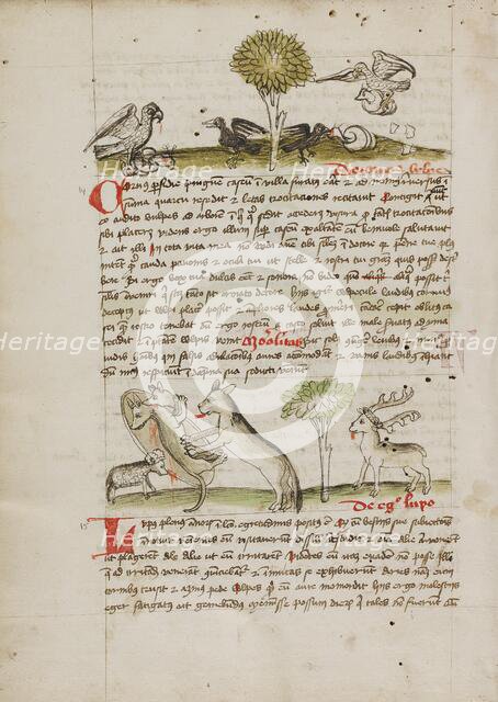 A Dog Biting a Wolf Laying Near his Den and Nearby a Sheep, a Donkey..., third quarter of 15th cent. Creator: Unknown.