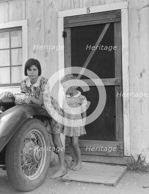 Arkansawyers auto camp filled almost completely with…, Greenfield, Salinas Valley, CA, 1939. Creator: Dorothea Lange.
