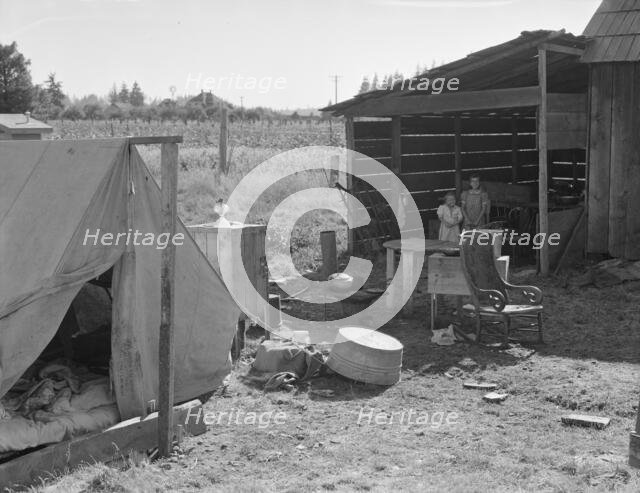 Possibly: Bean pickers camp in grower's yard..., near West Stayton, Marion County, Oregon, 1939. Creator: Dorothea Lange.