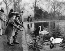 Children feeding the swans on the Serpentine, London, 1926-1927. Artist: Unknown