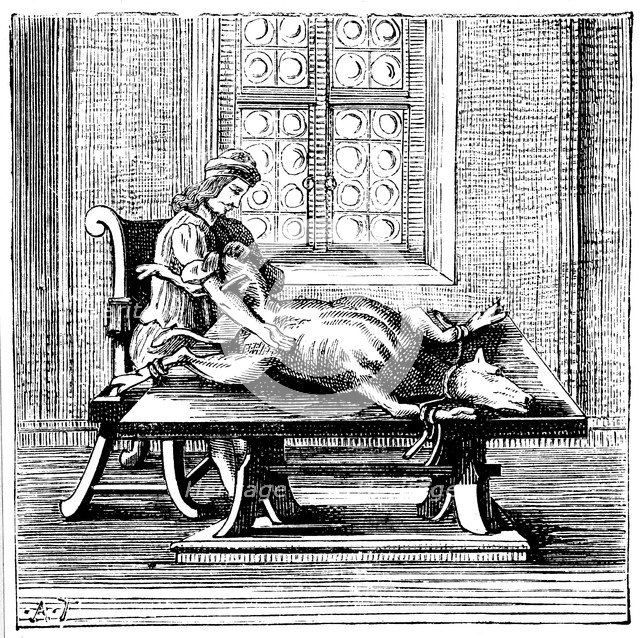 Animal-to-human blood transfusion, 1679. Artist: Unknown