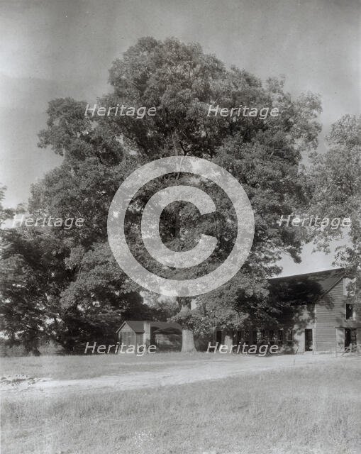 Midlothian Pike Minor Houses, Midlothian Pike, Chesterfield County, Virginia, 1933. Creator: Frances Benjamin Johnston.