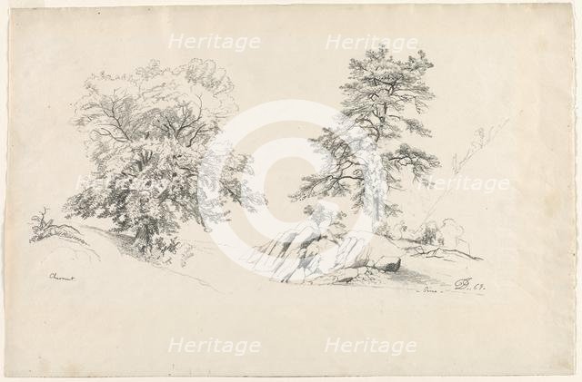 Chestnut and Pine, 1869. Creator: David Johnson (American, 1827-1908).