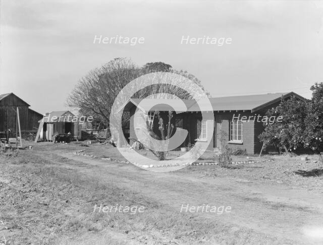 Rural rehabilitation, Tulare County, California, 1938. Creator: Dorothea Lange.