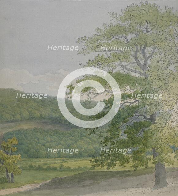 Wooded landscape, 1790s-1820s. Creator: John White Abbott.