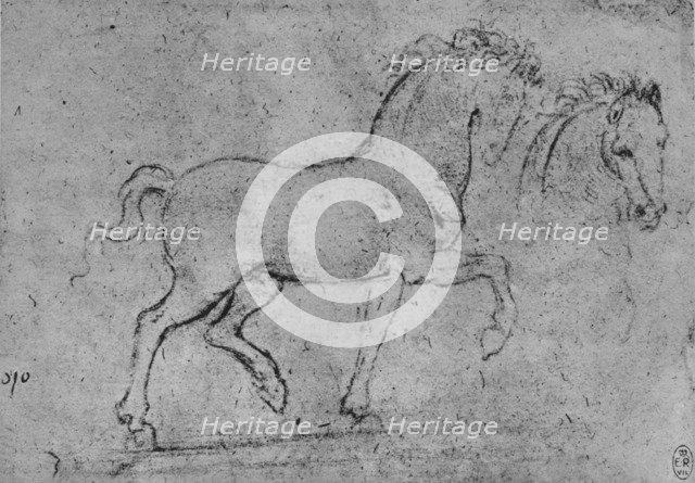 'Study of a Horse and of a Horse's Head', c1480 (1945). Artist: Leonardo da Vinci.